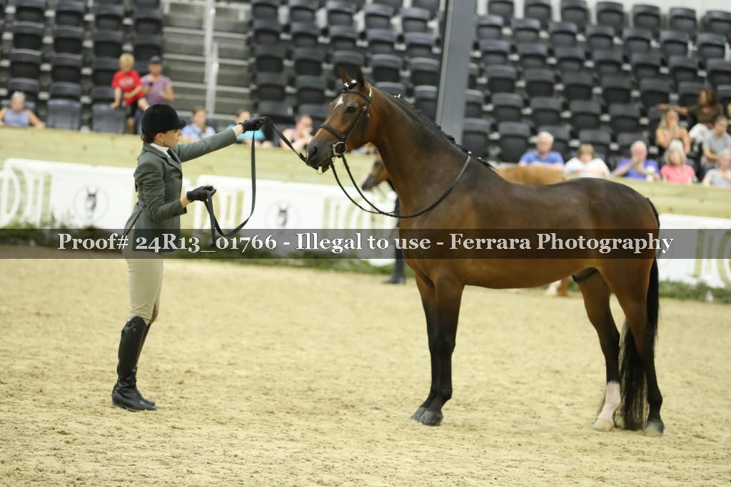 Proof 24R13_01766