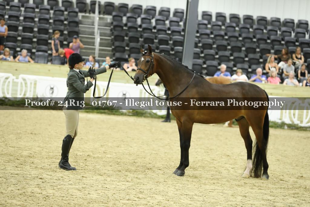 Proof 24R13_01767
