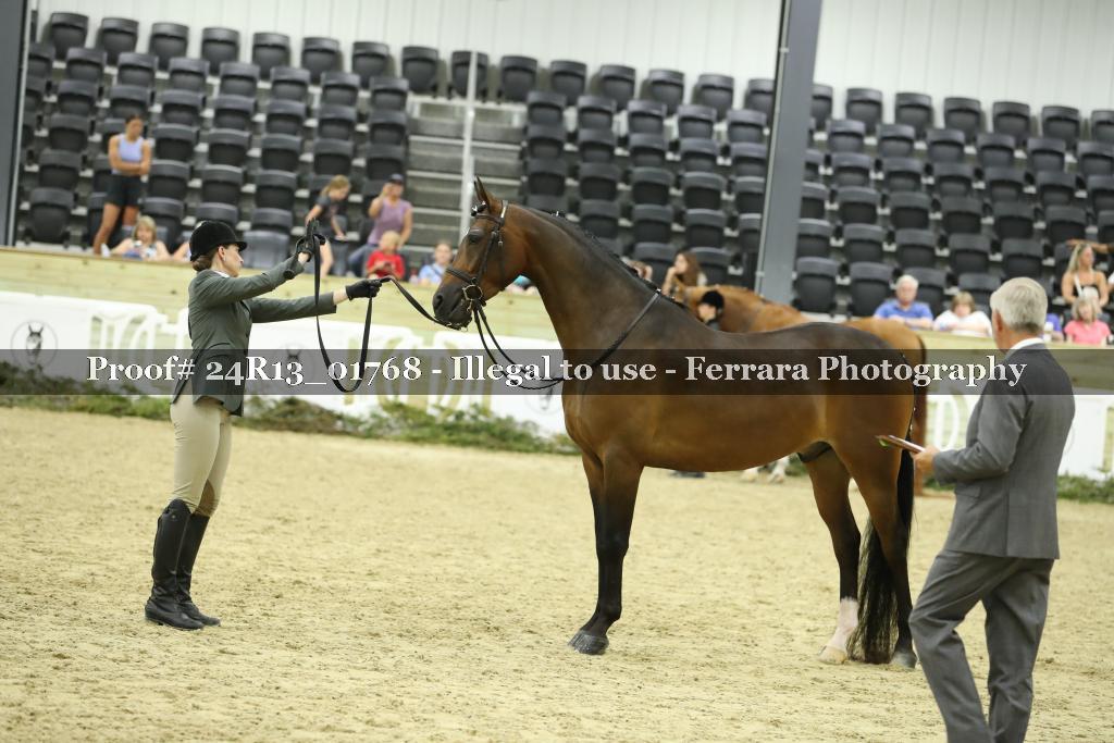 Proof 24R13_01768