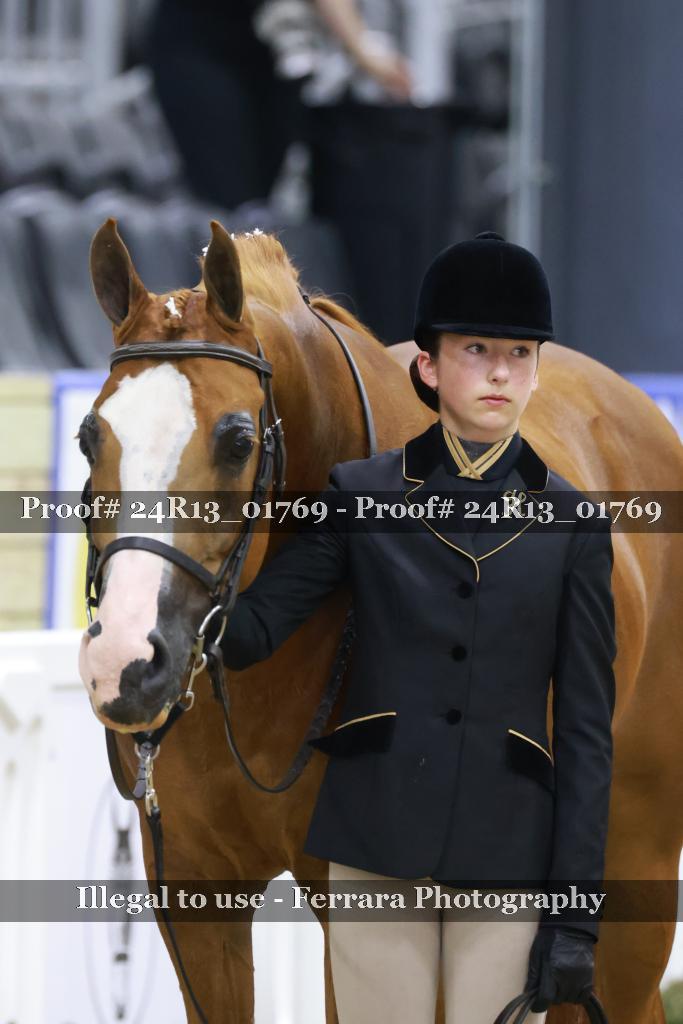 Proof 24R13_01769