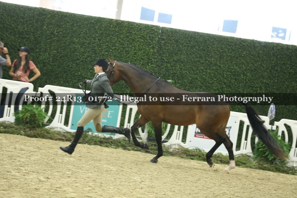 Proof 24R13_01772
