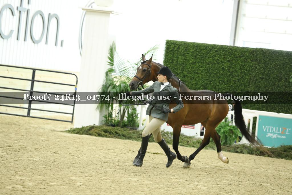 Proof 24R13_01774