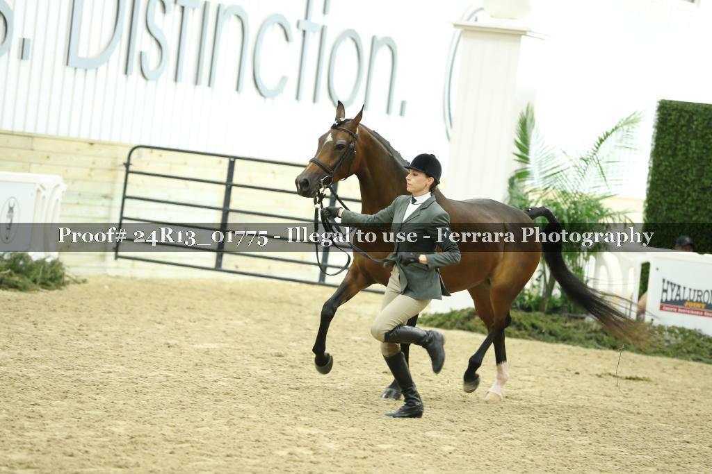 Proof 24R13_01775