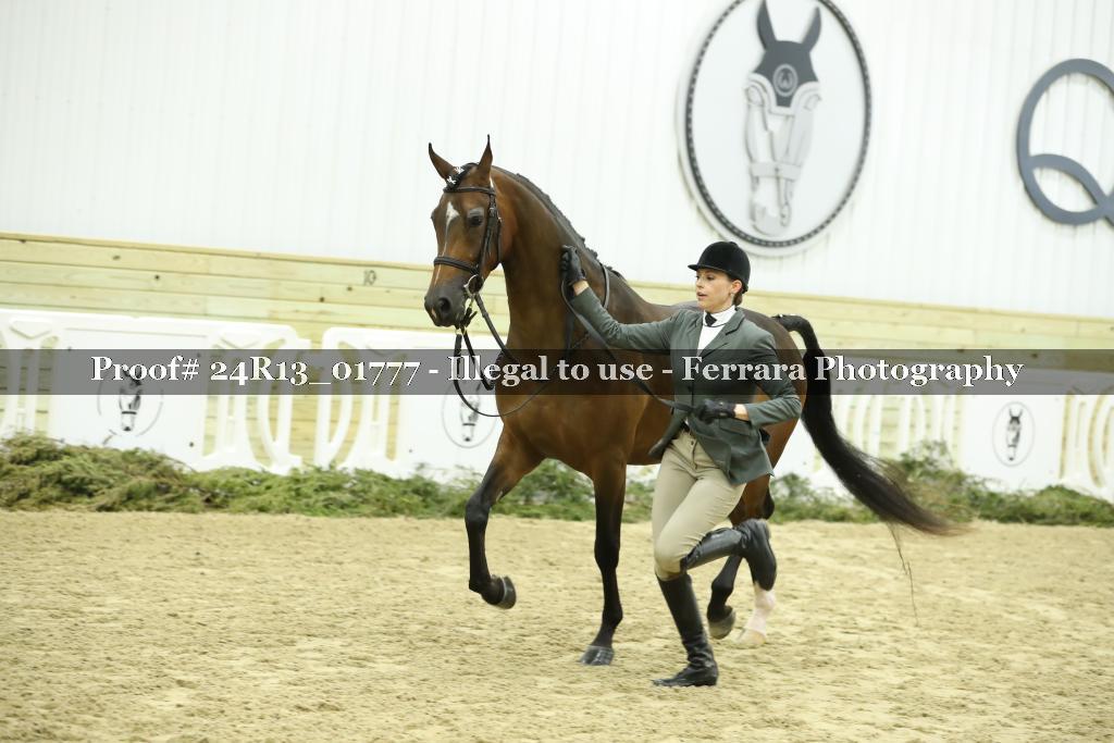 Proof 24R13_01777