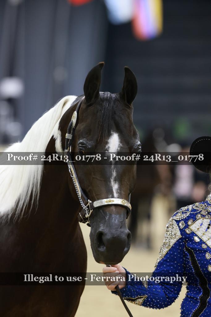 Proof 24R13_01778