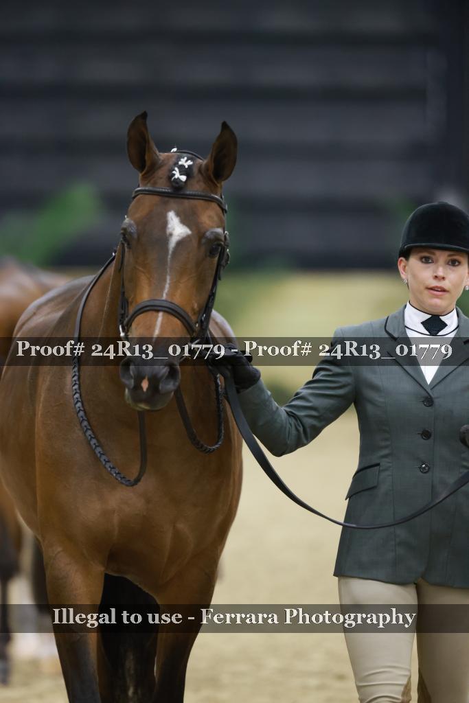Proof 24R13_01779