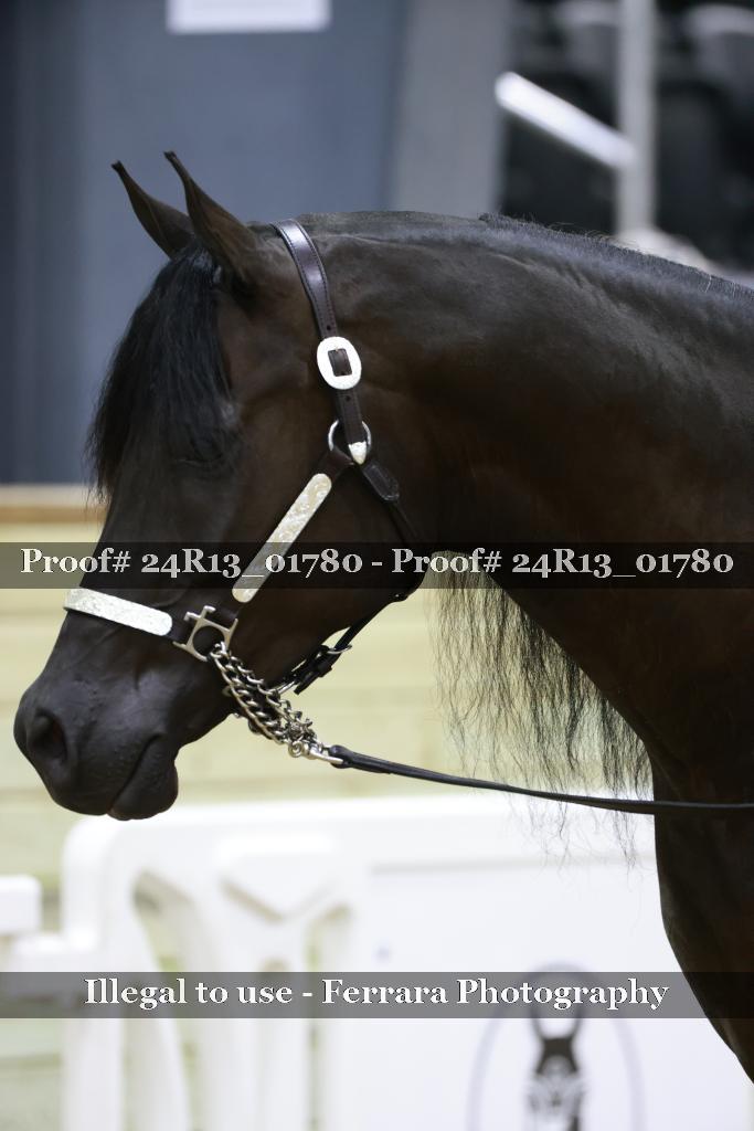 Proof 24R13_01780
