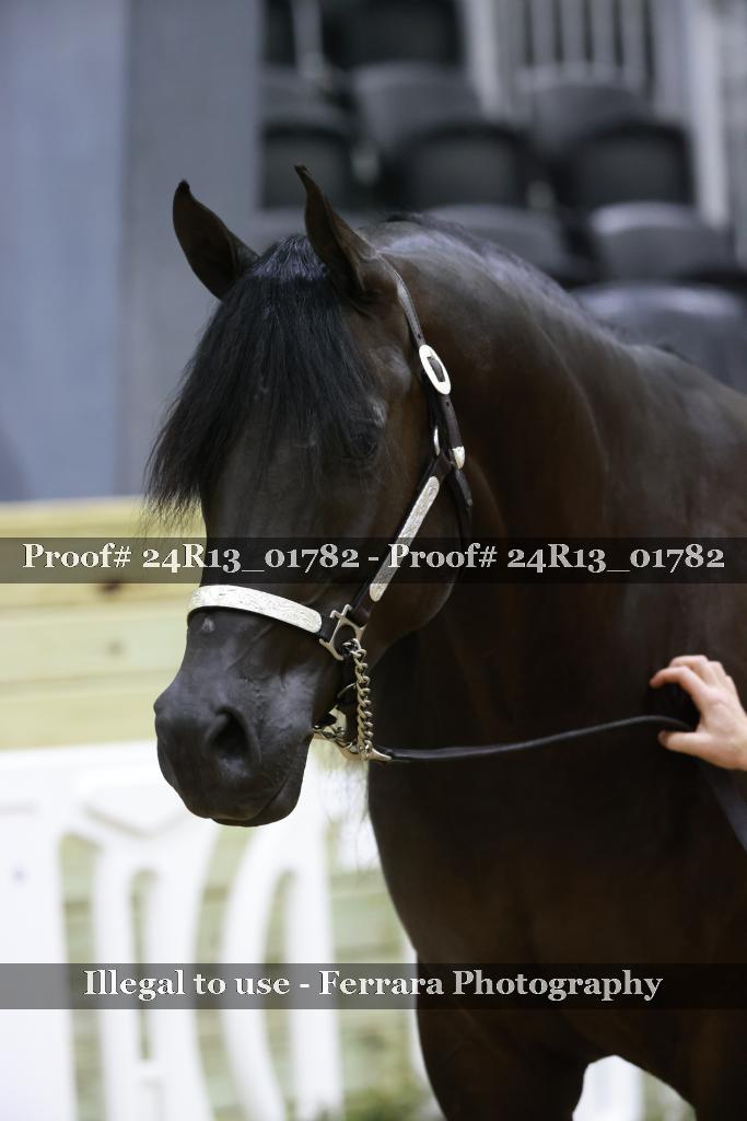 Proof 24R13_01782
