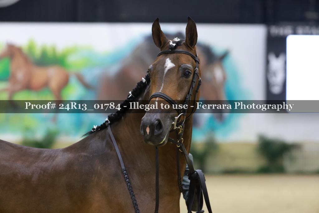 Proof 24R13_01784