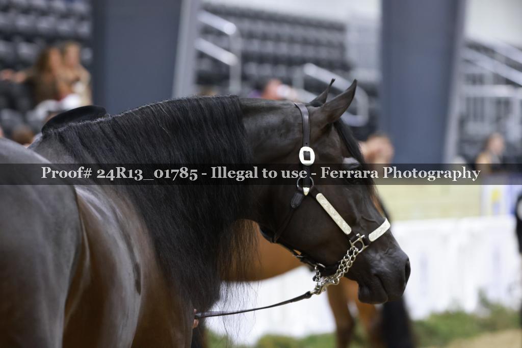 Proof 24R13_01785