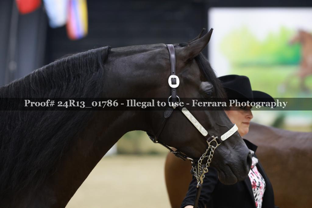 Proof 24R13_01786