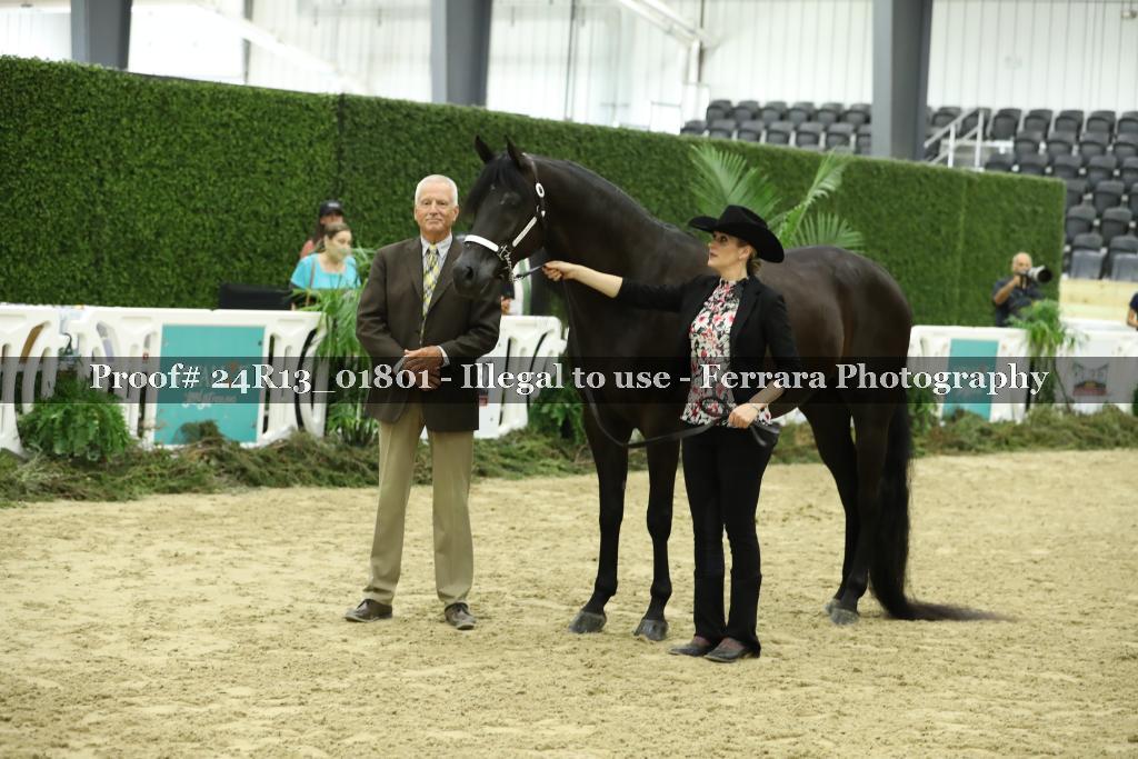 Proof 24R13_01801