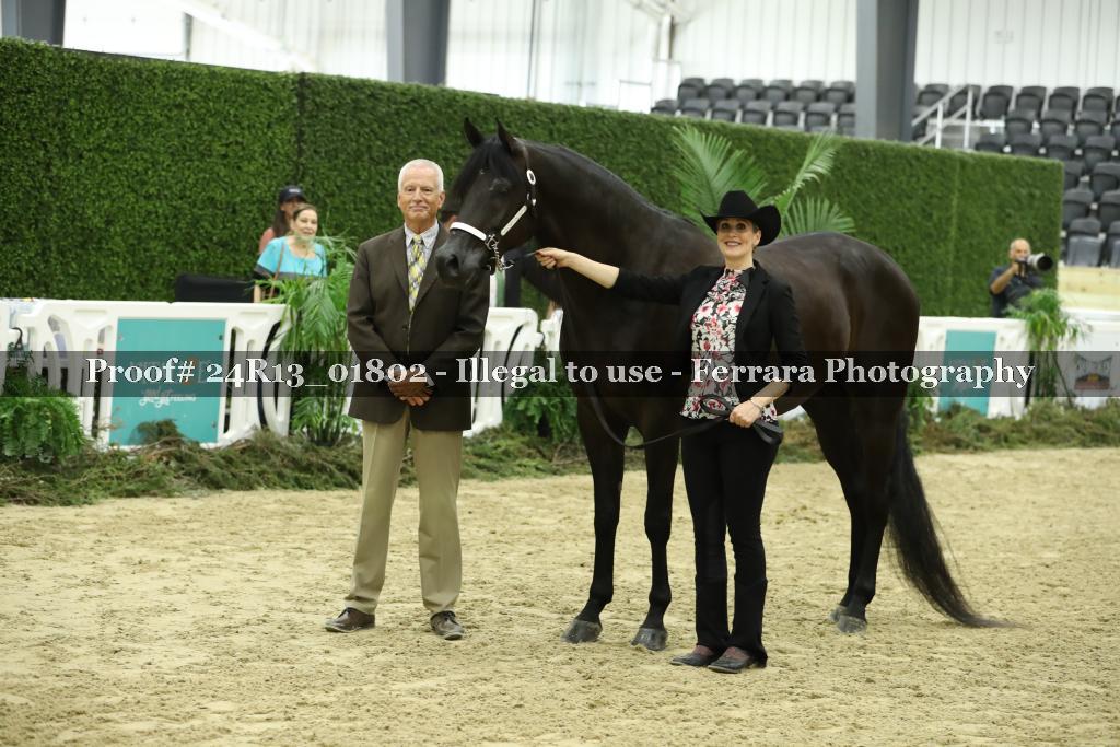 Proof 24R13_01802