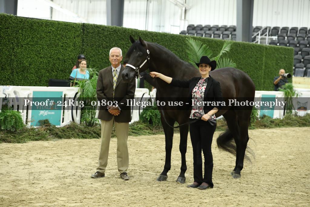 Proof 24R13_01803