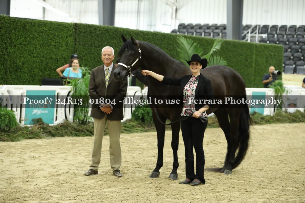 Proof 24R13_01804