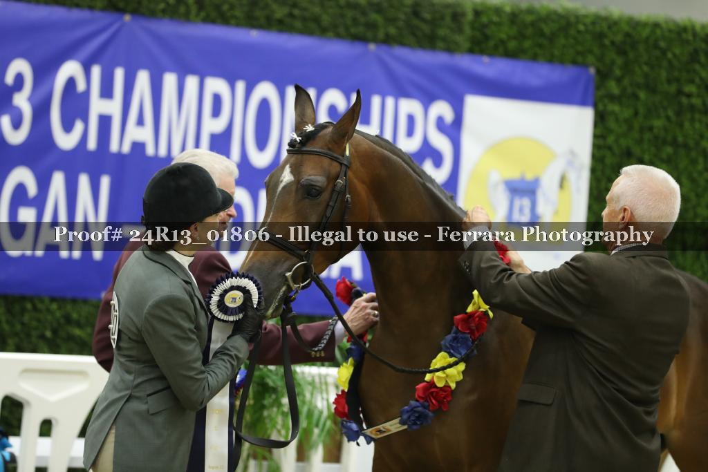 Proof 24R13_01806