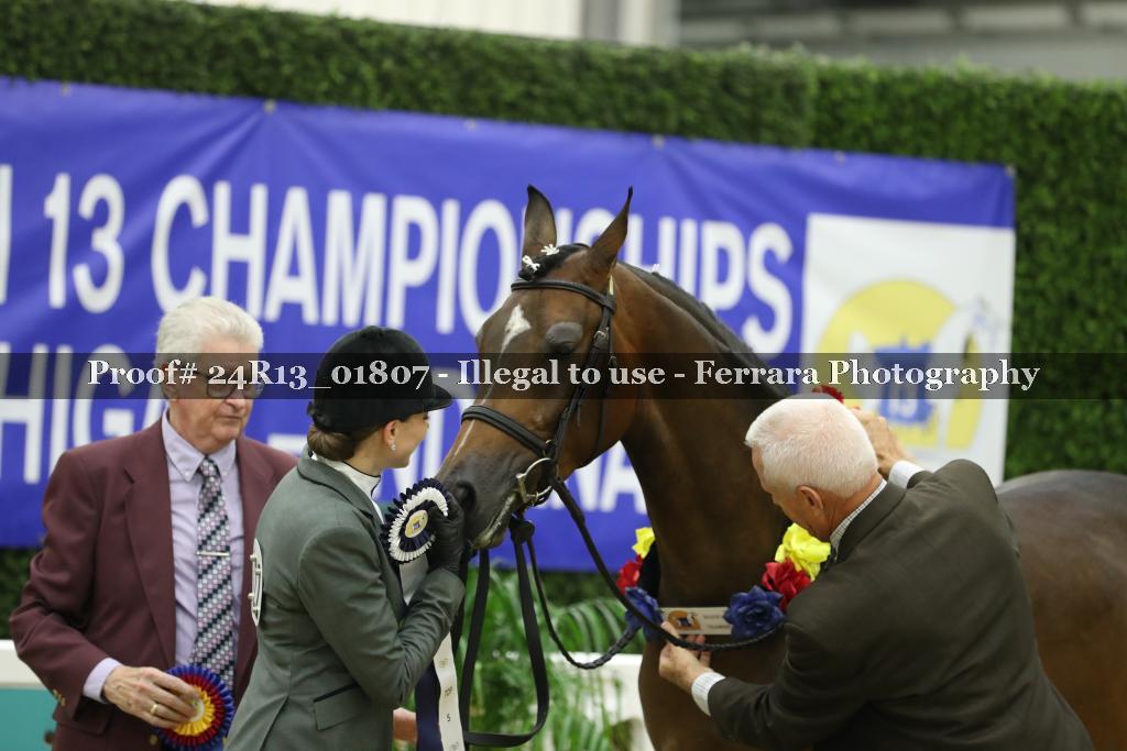 Proof 24R13_01807