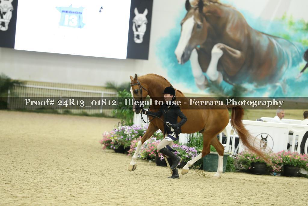 Proof 24R13_01812