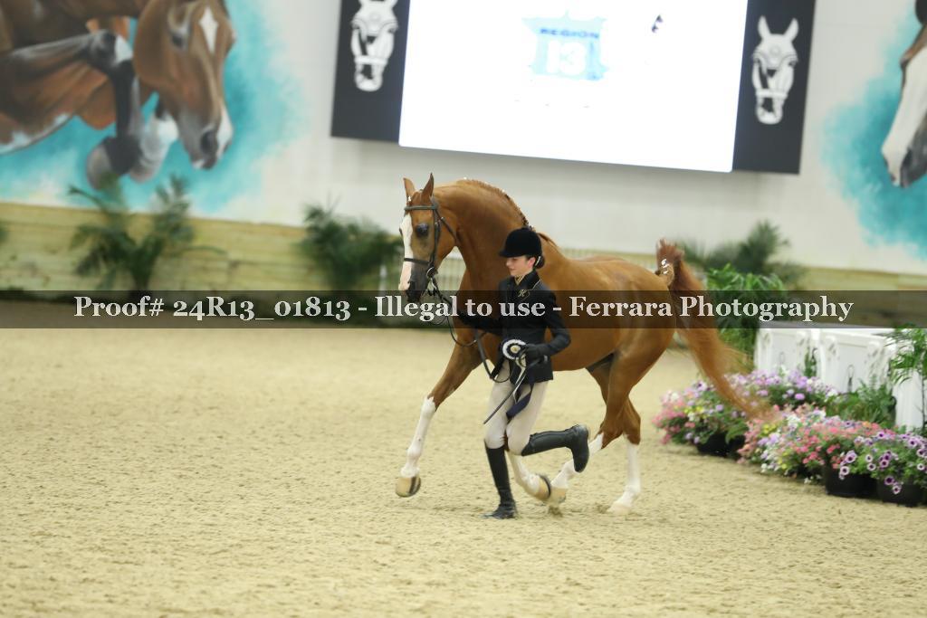 Proof 24R13_01813