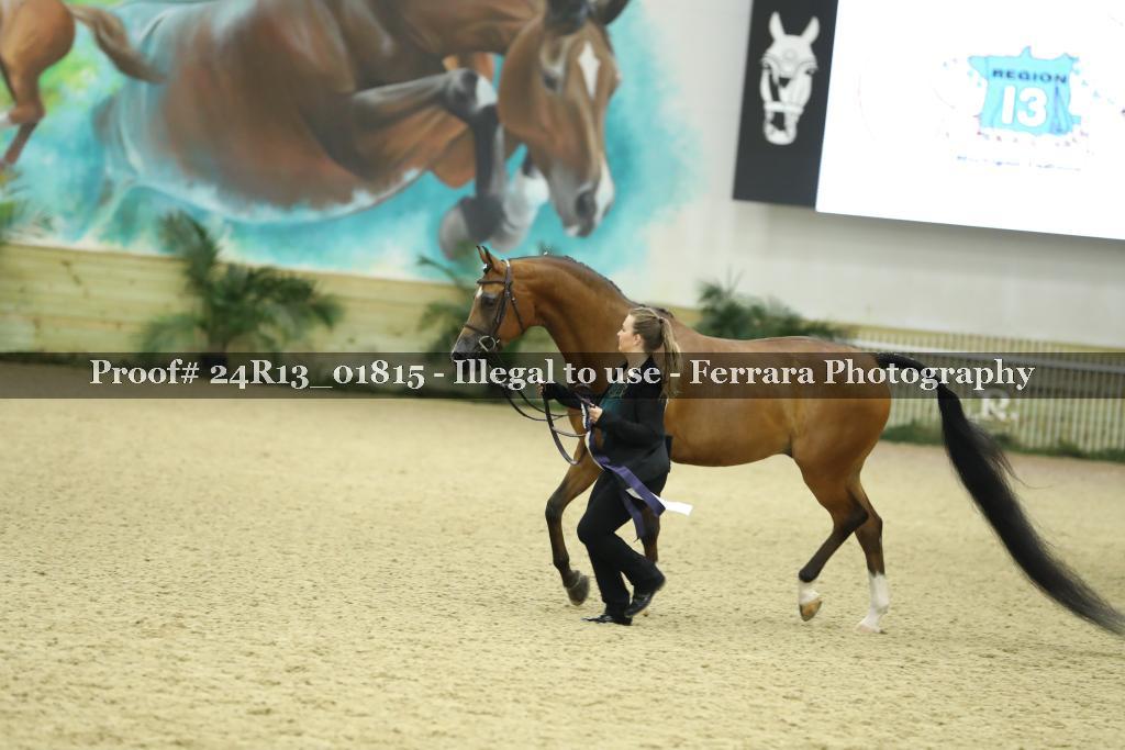 Proof 24R13_01815