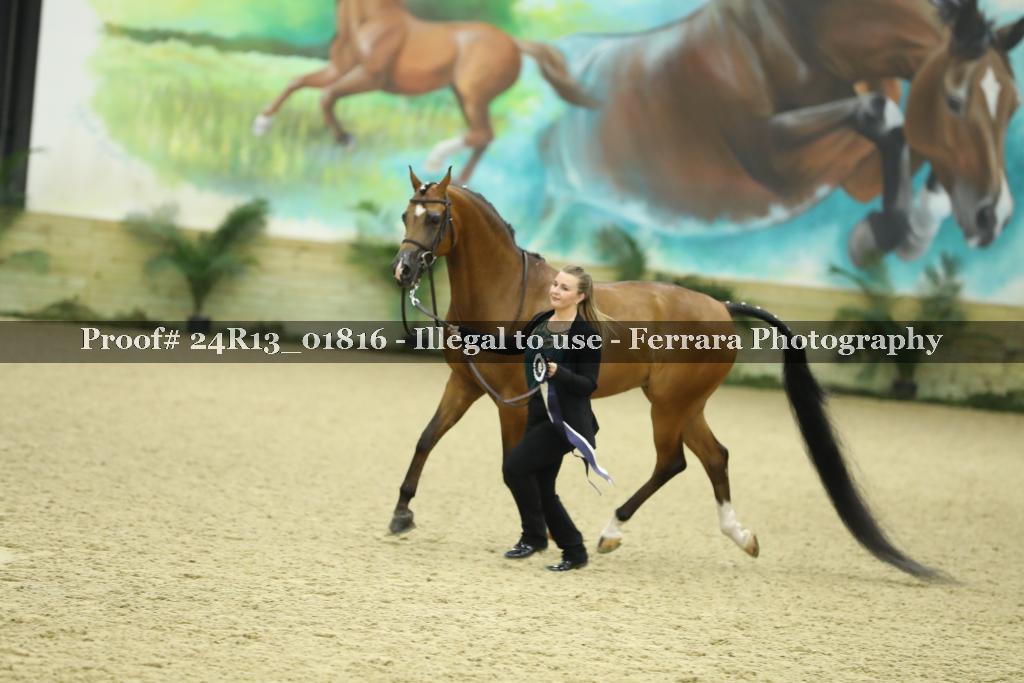 Proof 24R13_01816