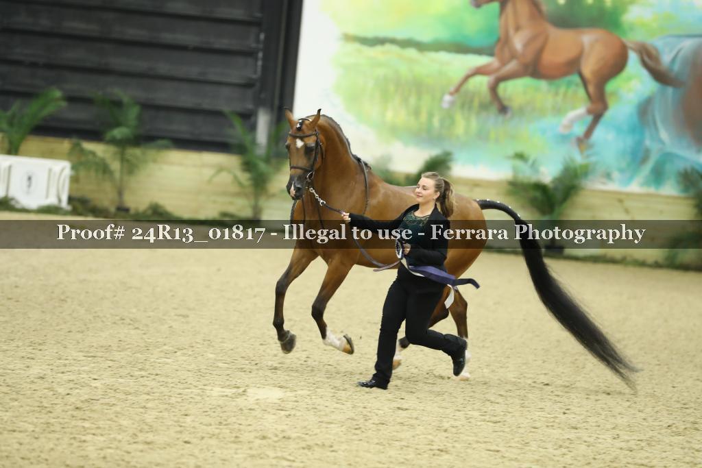 Proof 24R13_01817