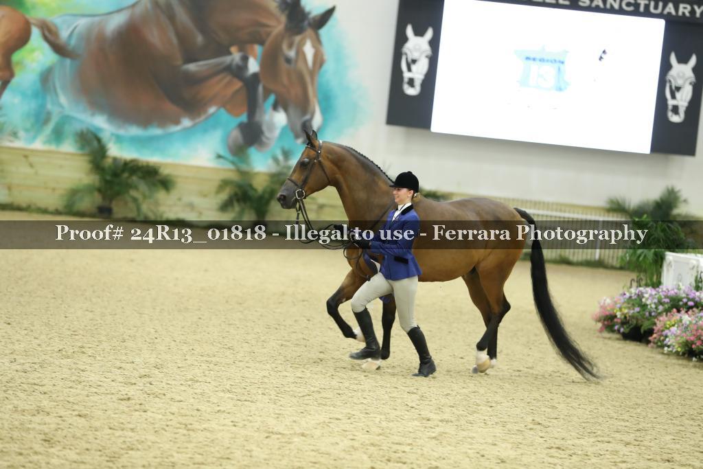 Proof 24R13_01818