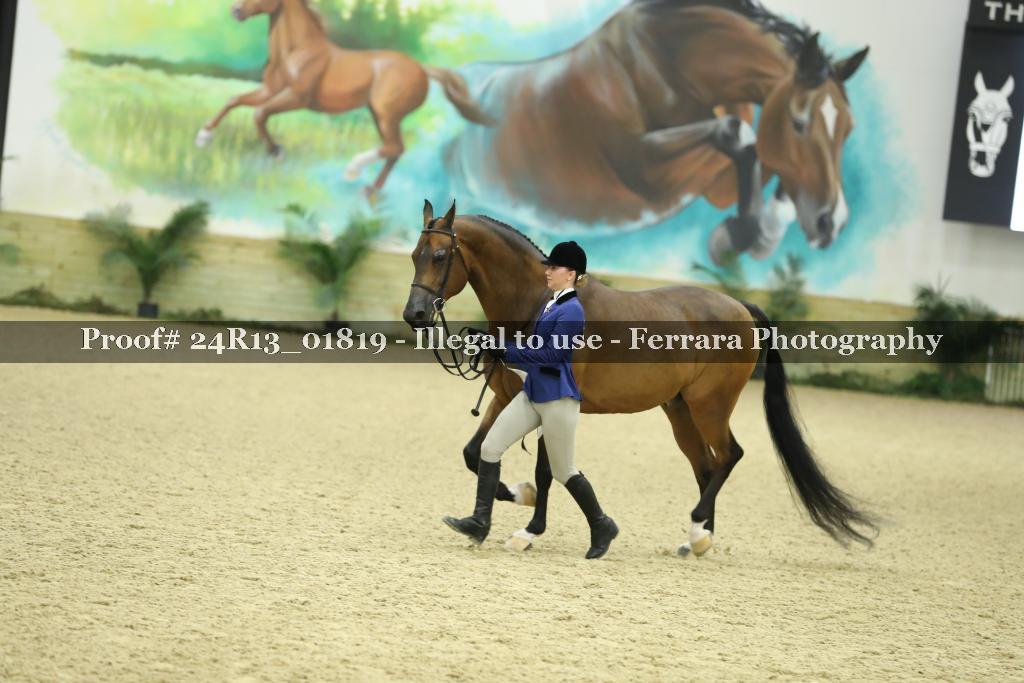 Proof 24R13_01819