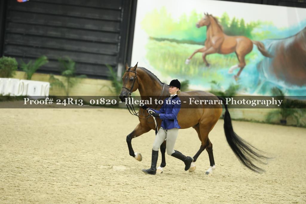 Proof 24R13_01820