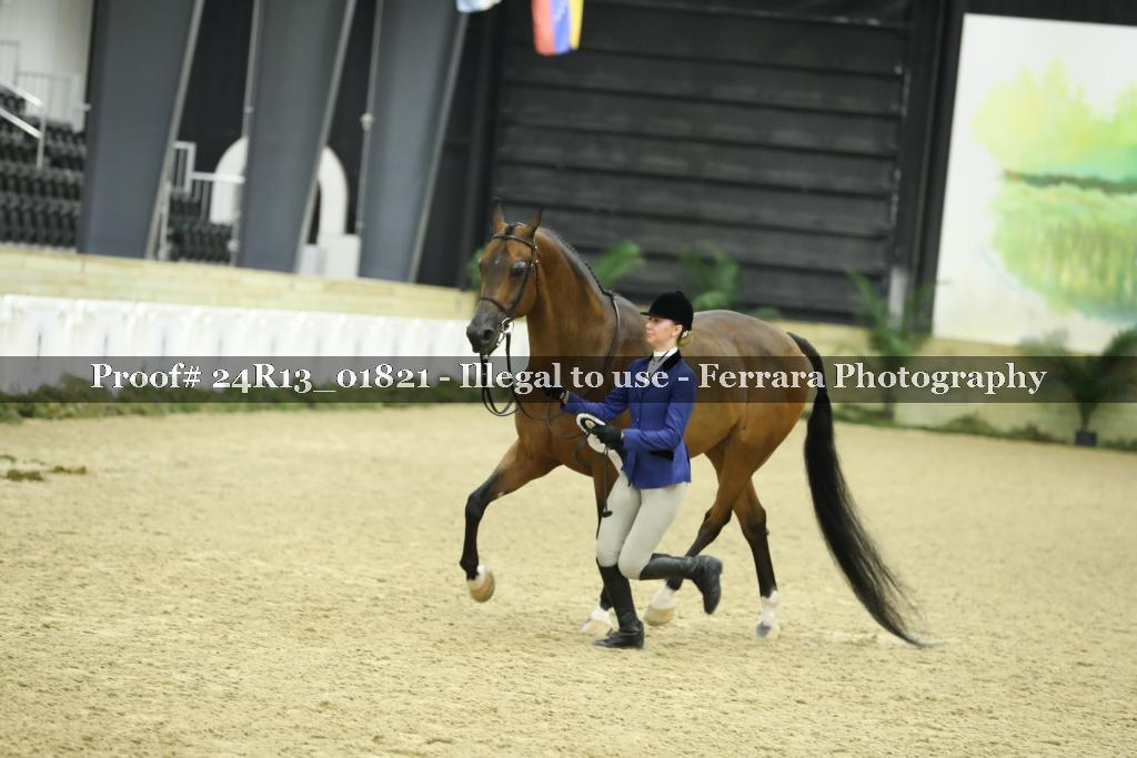 Proof 24R13_01821