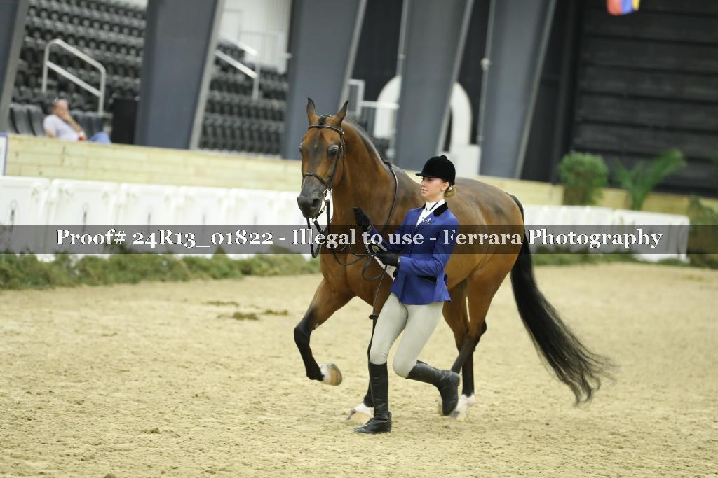 Proof 24R13_01822