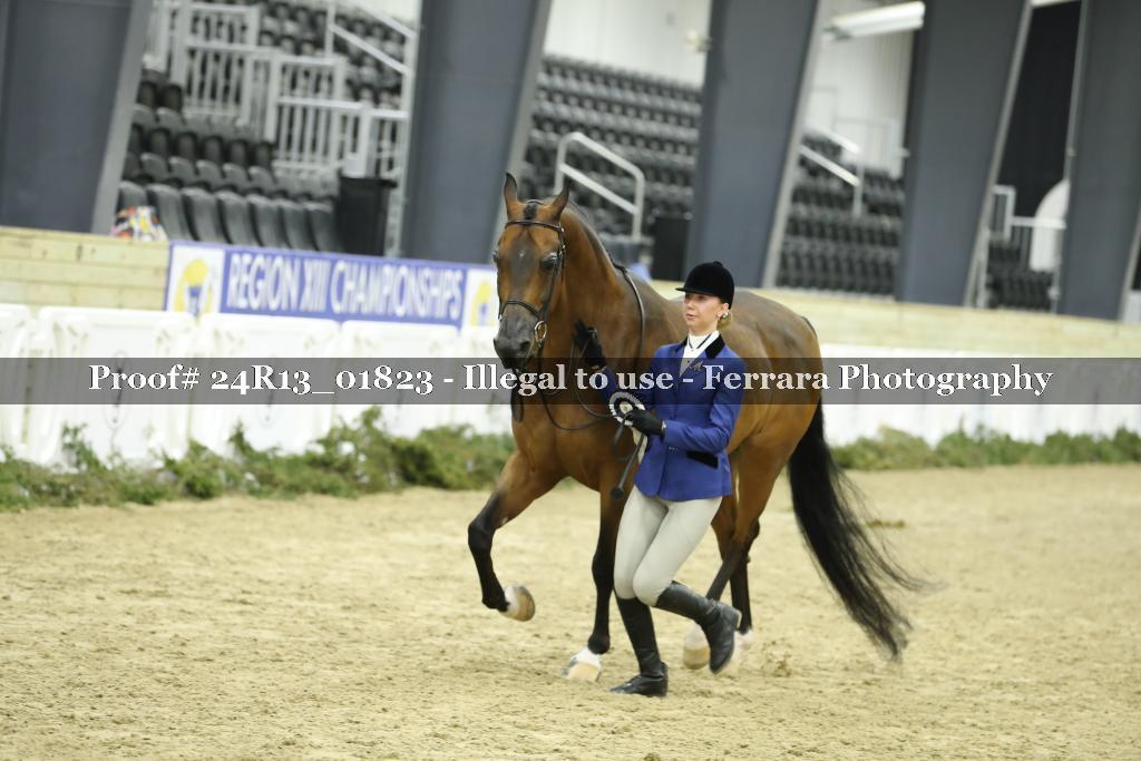 Proof 24R13_01823
