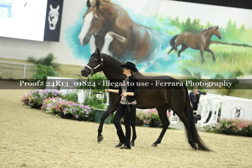 Proof 24R13_01824