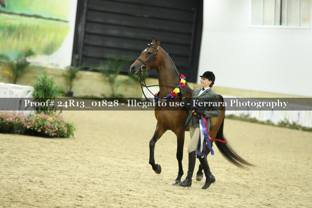 Proof 24R13_01828