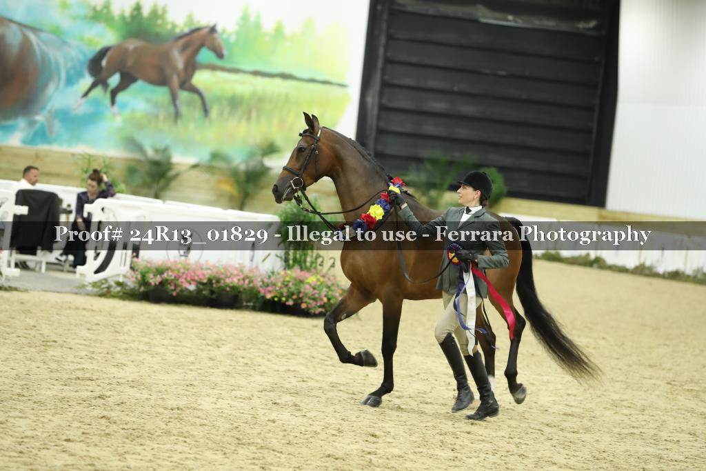 Proof 24R13_01829