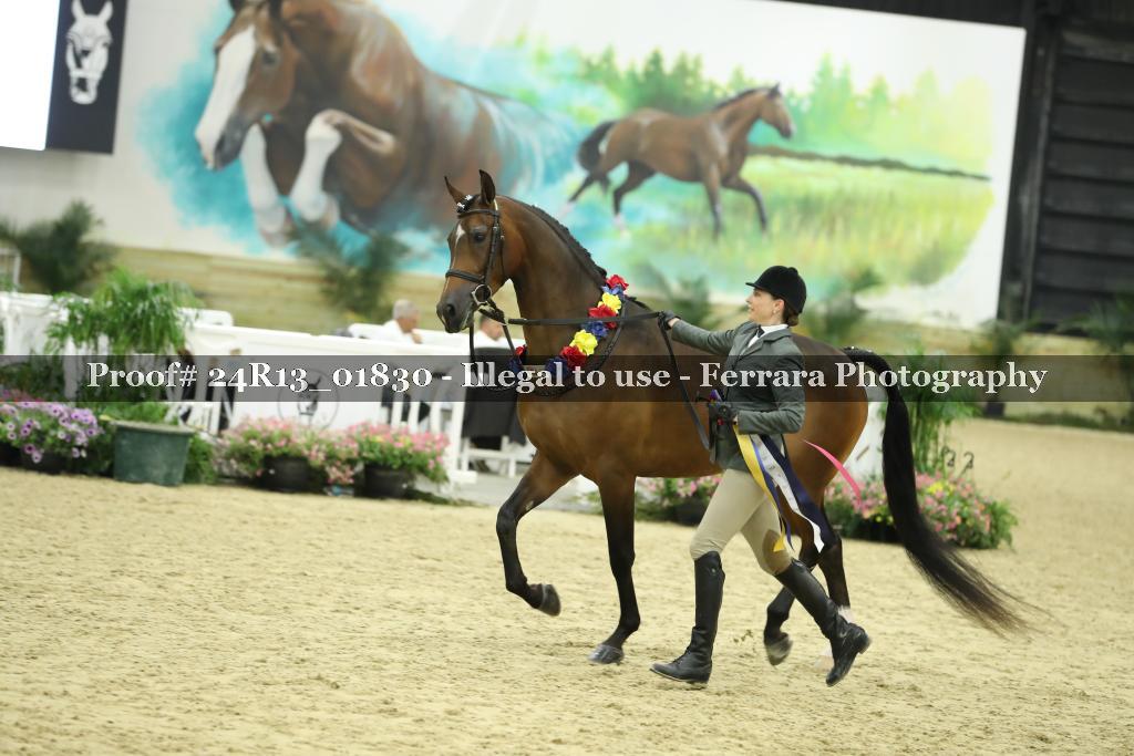 Proof 24R13_01830