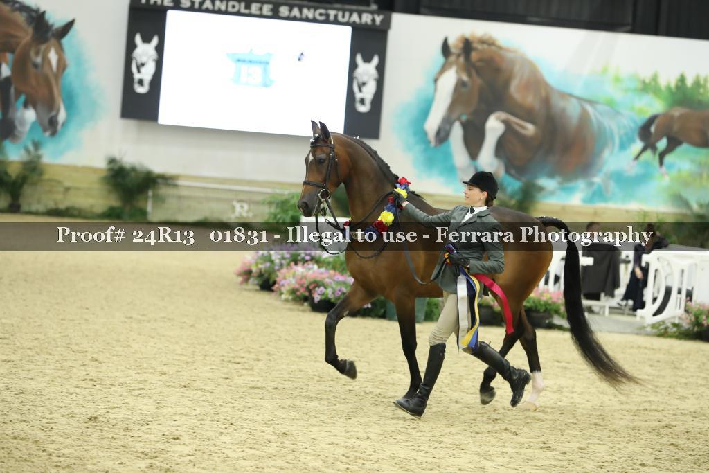 Proof 24R13_01831