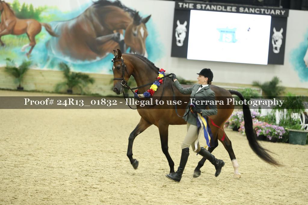 Proof 24R13_01832