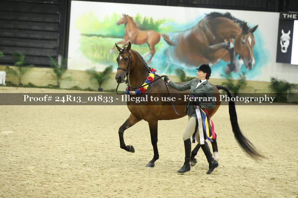 Proof 24R13_01833