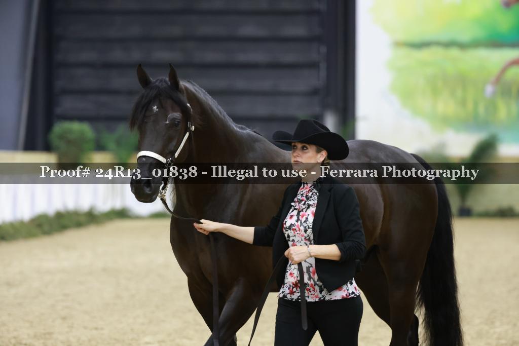 Proof 24R13_01838