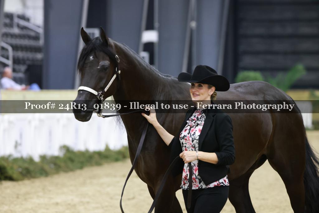 Proof 24R13_01839