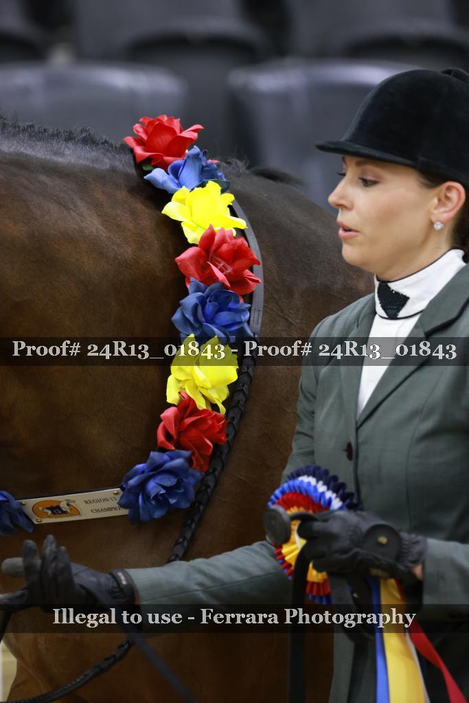 Proof 24R13_01843