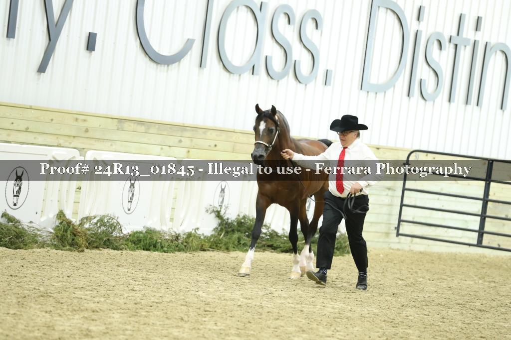 Proof 24R13_01845