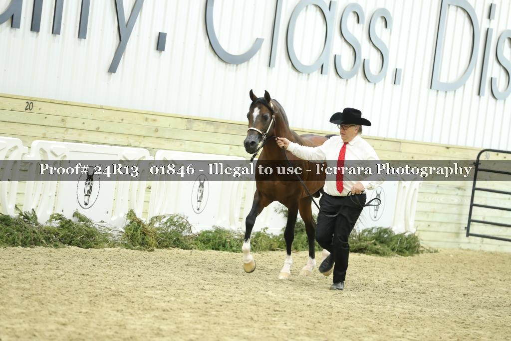 Proof 24R13_01846