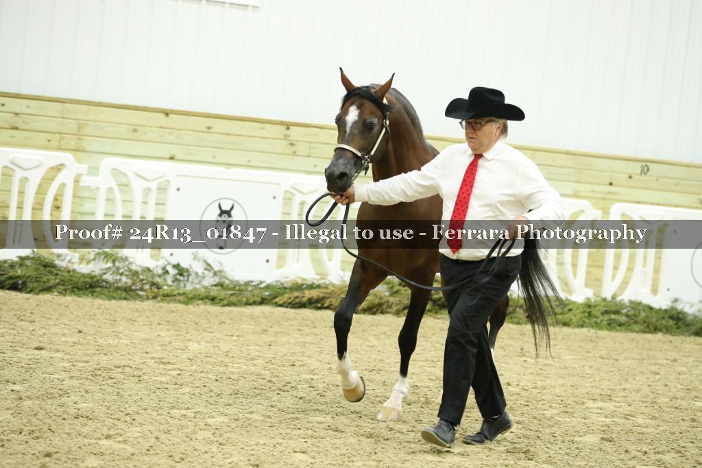 Proof 24R13_01847