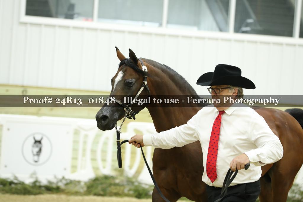 Proof 24R13_01848