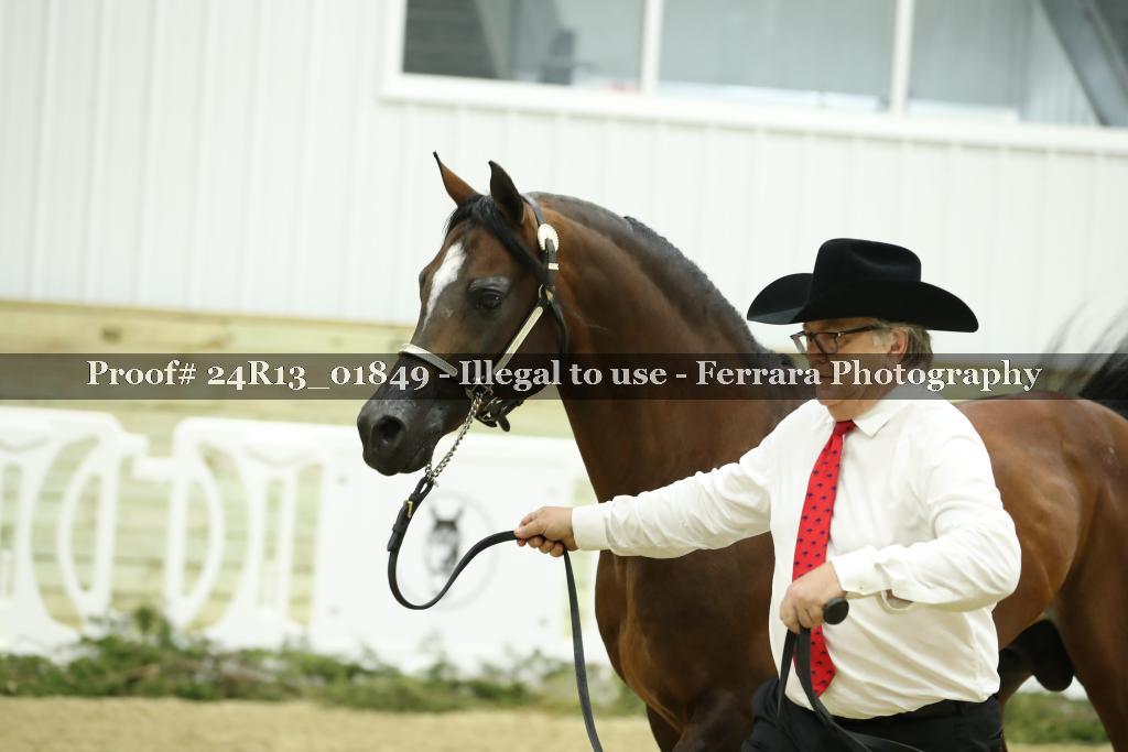 Proof 24R13_01849