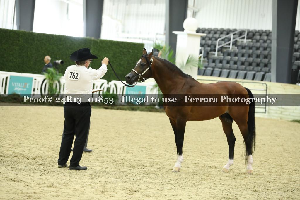 Proof 24R13_01853