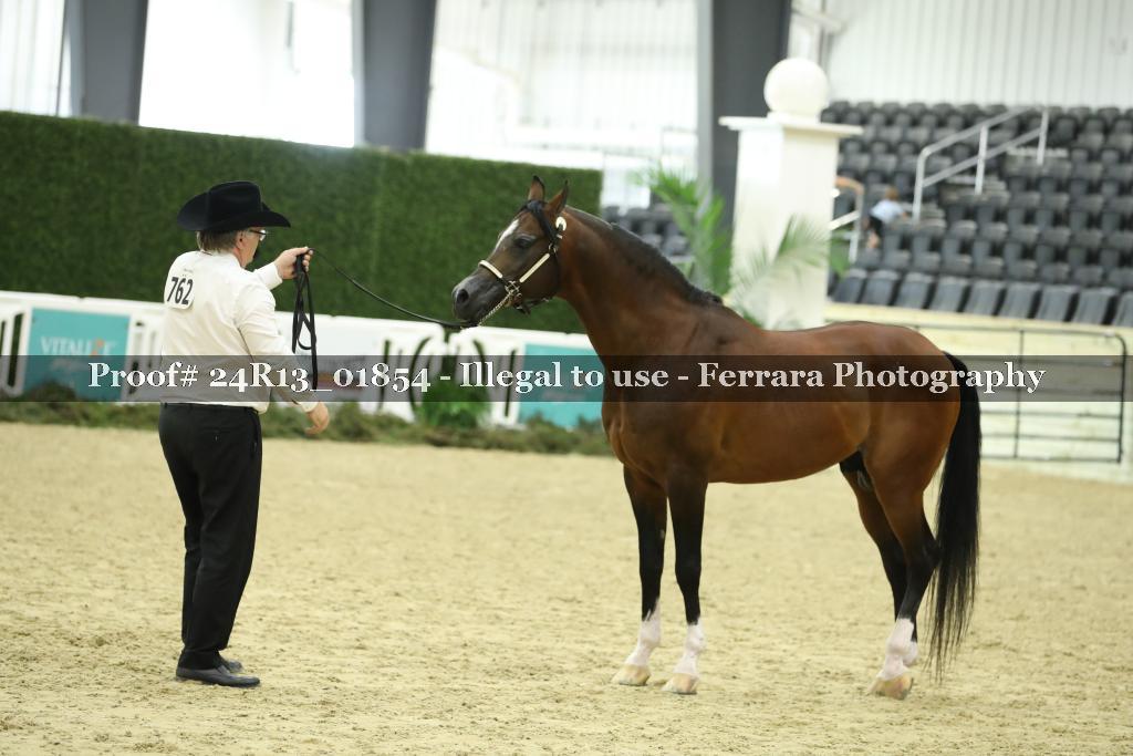 Proof 24R13_01854