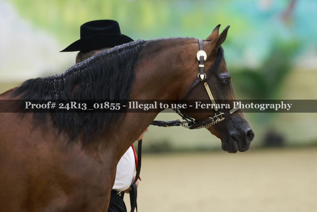 Proof 24R13_01855